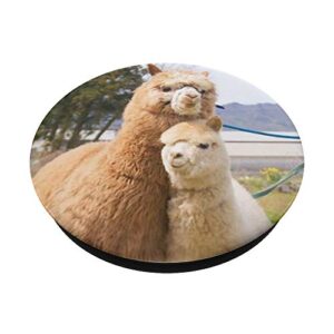 Love Alpacas PopSockets Grip and Stand for Phones and Tablets