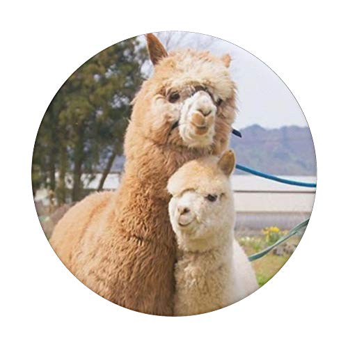 Love Alpacas PopSockets Grip and Stand for Phones and Tablets