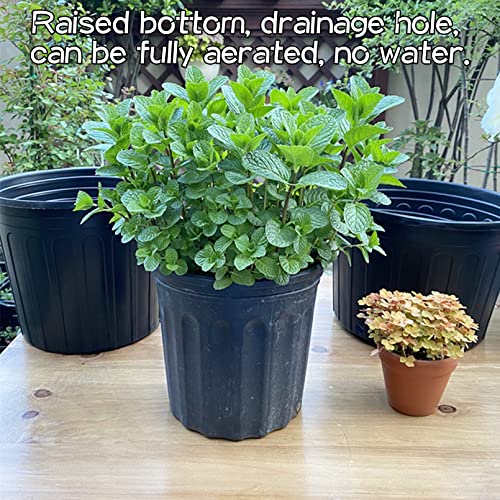 kathson 20 Pack 1 Gallon Planter Nursery Pots, Flexible Plastic Plant Pots with Drainage Holes Seedling Flower Plant Container for Indoor Outdoor Plants