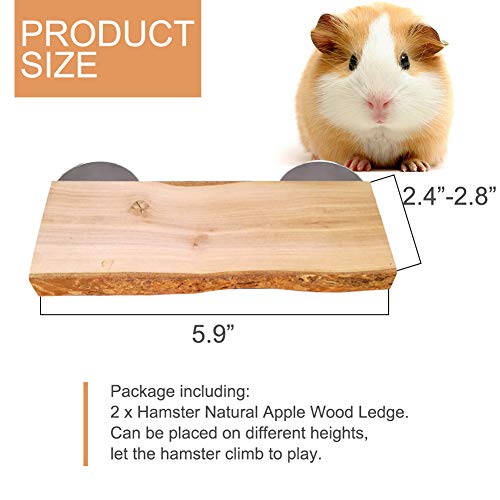 Chinchilla Wood Ledge 2Pcs Natural Wooden Shelf Standing Platform Chew Toys for Hamster Rat Guinea Pig Mouse Bird 2.6" x 5.9"