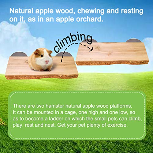 Chinchilla Wood Ledge 2Pcs Natural Wooden Shelf Standing Platform Chew Toys for Hamster Rat Guinea Pig Mouse Bird 2.6" x 5.9"