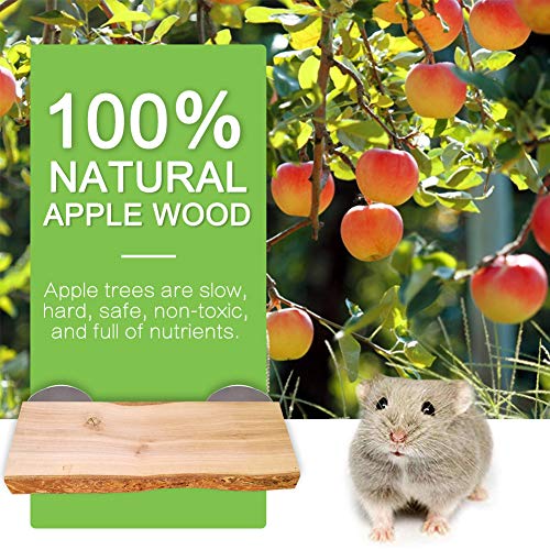 Chinchilla Wood Ledge 2Pcs Natural Wooden Shelf Standing Platform Chew Toys for Hamster Rat Guinea Pig Mouse Bird 2.6" x 5.9"