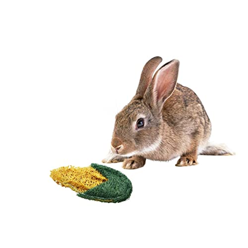 Lanermoon Chew Toy for Teeth,Natural Loofah with Corn Shape,2 Pack Pet Toys for Rabbits,Hamsters,Guinea Pigs,Parrots and Other Small Animals