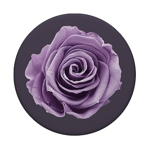 Rose in Purple Shade on Grey Background PopSockets Swappable PopGrip