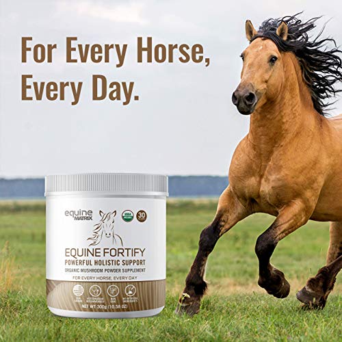 Mushroom Matrix Equine Turkey Tail Mushroom Supplement, Fortify, 30 Servings, Holistic Immune Support for Horses, 300 Grams, Organic, Product of USA