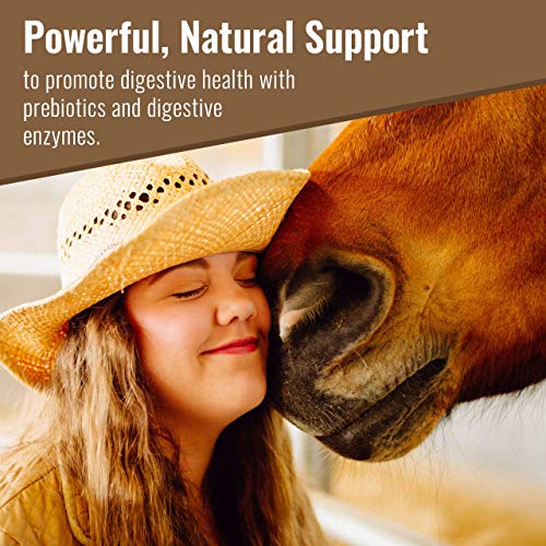 Mushroom Matrix Equine Turkey Tail Mushroom Supplement, Fortify, 30 Servings, Holistic Immune Support for Horses, 300 Grams, Organic, Product of USA