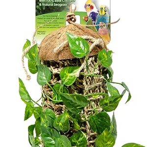 Lizard Lounger Penn-Plax Reptology for Bearded Dragons, Iguanas, and Other Reptiles - Adjustable Hanging (Coconut Climber)