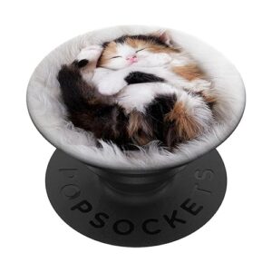 kitty cute nap cat sleeping kitten popsockets popgrip: swappable grip for phones & tablets popsockets standard popgrip