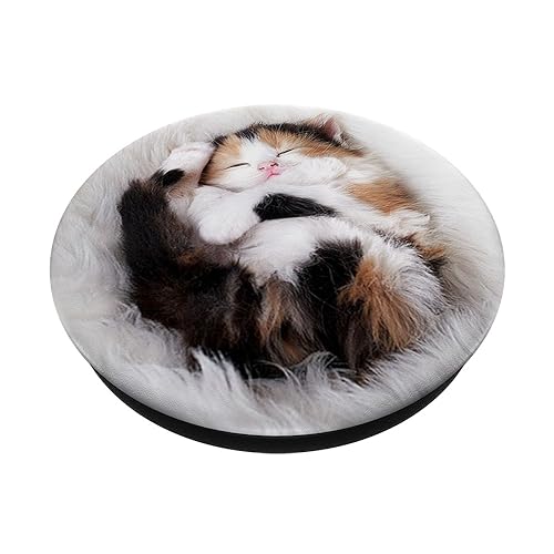 Kitty Cute Nap Cat Sleeping Kitten PopSockets PopGrip: Swappable Grip for Phones & Tablets PopSockets Standard PopGrip
