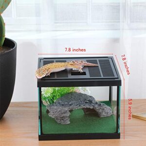 crapelles Reptile Amphibians Terrarium Glass Box for Small pet Waterproof Ventilation Transparency Clearly Visible Inside