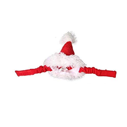 POPETPOP Guinea Pig Costume - Kitten Christmas Hat Pet Christmas Hat Santa Claus Cap Head Accessories for Rabbit Hamster Bunny Rat Kitten Small Animals 2pcs