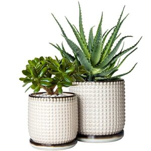 set of 2, 6 inch & 4 inch ceramic indoor planter pots with drainage hole and saucer, beaded design flower pots, smoked white, 27-h-b-sw-zs