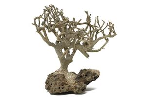 bonsai driftwood mini aquarium tree bs (3.5 inch height) natural, handcrafted fish tank decoration | easy to install