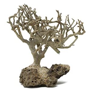 Bonsai Driftwood Mini Aquarium Tree BS (3.5 Inch Height) Natural, Handcrafted Fish Tank Decoration | Easy to Install