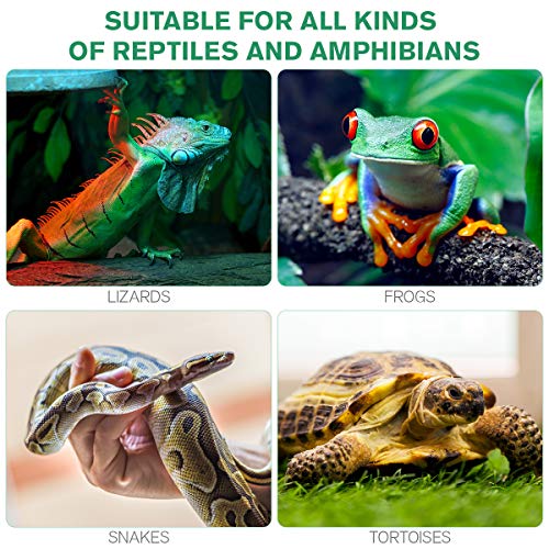 POPETPOP Reptile Carpet Mat - Reptiles Bedding Fiber Mat Substrate Terrarium Liner for Lizards Snakes Tortoise Rabbit Bearded Dragon Accessories - Green