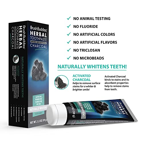 Brush Buddies Herbal Toothpaste with Activated Charcoal, Whitening Toothpaste, Charcoal Toothpaste for Whitening Teeth - Cool Mint