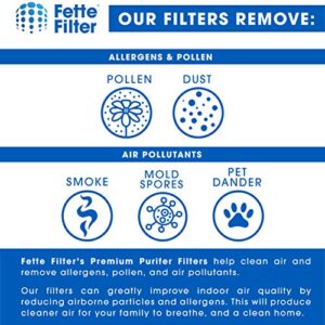 Fette Filter - Replacement Filter Compatible with Holmes HAPF7-U8 Smoke Grabber Ashtray. Fits Holmes Models: HAP70, HAP75, HAP76. Fits Pollenex Models: AT100, AT101 Pack of 12