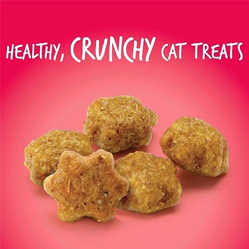 Fruitables Cat Crunchy Treats For Cats – Healthy Low Calorie Packed with Protein – Free of Wheat, Corn and Soy – Made with Real Salmon with Cranberry – 2.5 Ounces