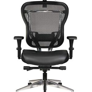 Oak Hollow Furniture Aloria Series Office Chair Ergonomic Executive Computer Chair, Genuine Leather Seat Cushion, Mesh Back, Adjustable Lumbar Support Swivel and Tilt High-Back (Black, Headrest)