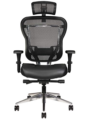 Oak Hollow Furniture Aloria Series Office Chair Ergonomic Executive Computer Chair, Genuine Leather Seat Cushion, Mesh Back, Adjustable Lumbar Support Swivel and Tilt High-Back (Black, Headrest)