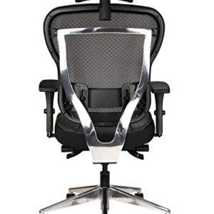 Oak Hollow Furniture Aloria Series Office Chair Ergonomic Executive Computer Chair, Genuine Leather Seat Cushion, Mesh Back, Adjustable Lumbar Support Swivel and Tilt High-Back (Black, Headrest)