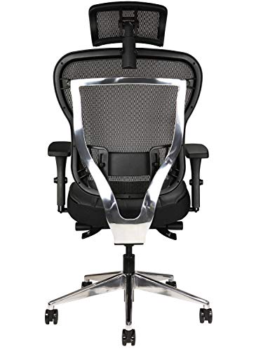 Oak Hollow Furniture Aloria Series Office Chair Ergonomic Executive Computer Chair, Genuine Leather Seat Cushion, Mesh Back, Adjustable Lumbar Support Swivel and Tilt High-Back (Black, Headrest)