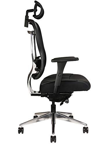 Oak Hollow Furniture Aloria Series Office Chair Ergonomic Executive Computer Chair, Genuine Leather Seat Cushion, Mesh Back, Adjustable Lumbar Support Swivel and Tilt High-Back (Black, Headrest)