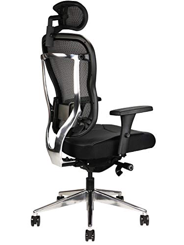 Oak Hollow Furniture Aloria Series Office Chair Ergonomic Executive Computer Chair, Genuine Leather Seat Cushion, Mesh Back, Adjustable Lumbar Support Swivel and Tilt High-Back (Black, Headrest)