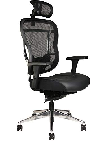 Oak Hollow Furniture Aloria Series Office Chair Ergonomic Executive Computer Chair, Genuine Leather Seat Cushion, Mesh Back, Adjustable Lumbar Support Swivel and Tilt High-Back (Black, Headrest)