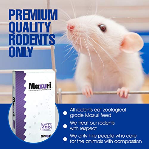 MiceDirect 15 Weanling Rats: Pack of Frozen Weanling Feeder Rats - Food for Corn Snakes, Ball Pythons, Lizards and Other Pet Reptiles - Freshest Snake Feed Supplies