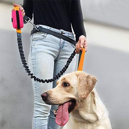SLOSN 3 Pack Pet Waste Bag Dispenser Dog Poop Bag Holder with Zippered Portable Dog Poop Bag Holder with Hook for Leash,Great Accessory for Walking, Running with Dog (RoseRed Green Black)