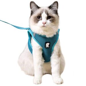 heywean cat harness and leash - ultra light escape proof kitten collar cat walking jacket with running cushioning soft and comfortable suitable for puppies rabbits (m, turquoise)