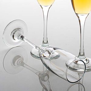 C CREST Set of 12, Champagne Glasses, 6 Ounce Champagne Flute, Lead-free Drinkware, Clear