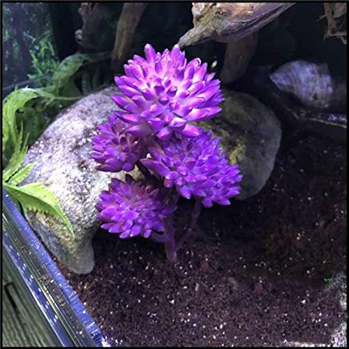 KERUIDENG Reptile Plants Artificial Terrarium Plants Reptile Plastic Plants for Reptile Habitats with Base -Purple…