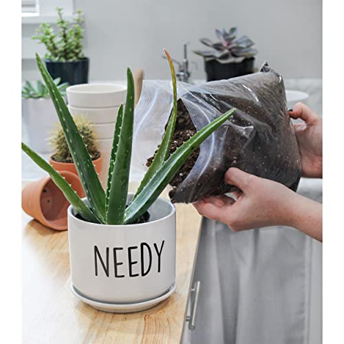 Aloe Vera Soil Blend, Hand Blended Aloe Vera and Succulent Soil Mix, Re-Pots 4-6 Small Plants, 2-4 Medium Plants, or 1-2 Large Plants, All Natural (4qts)