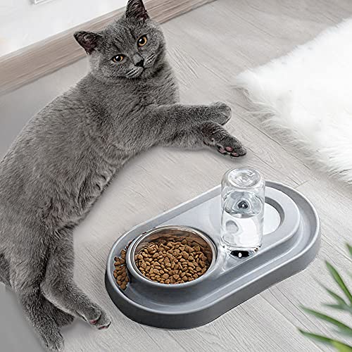 Double Dog Cat Bowls Water and Food Bowl Set，Detachable Stainless Steel Bowl Automatic Water Dispenser Bottle Pet Feeder for Small or Medium Size Dogs Cats Puppy Kitten Rabbit