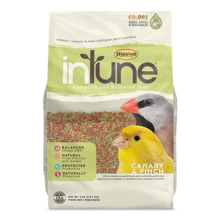 Higgins Intune Canary/Finch Food 2Lb