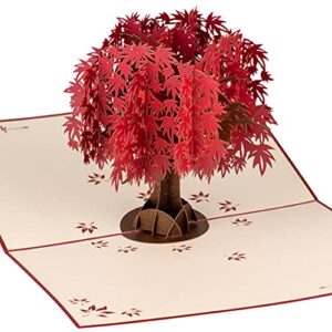 red maple tree by devine popup cards | happy wedding anniversary card for wife husband mom | 3d mothers day card | pop up birthday card for women | romantic love gifts