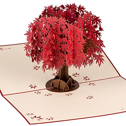 Red Maple Tree by DEVINE Popup Cards | Happy Wedding Anniversary Card for Wife Husband Mom | 3D Mothers Day Card | Pop Up Birthday Card for Women | Romantic Love Gifts