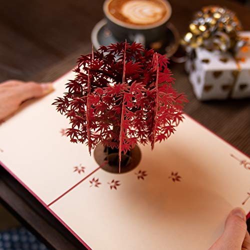 Red Maple Tree by DEVINE Popup Cards | Happy Wedding Anniversary Card for Wife Husband Mom | 3D Mothers Day Card | Pop Up Birthday Card for Women | Romantic Love Gifts