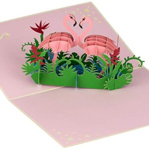 flamingo pop up birthday card by devine popup cards | happy wedding anniversary card for husband wife boyfriend girlfriend | romantic valentines 3d cards for her him | mothers day gifts mom love bird