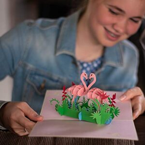 Flamingo Pop Up Birthday Card by DEVINE Popup Cards | Happy Wedding Anniversary Card for Husband Wife Boyfriend Girlfriend | Romantic Valentines 3D Cards for Her Him | Mothers Day Gifts Mom Love Bird