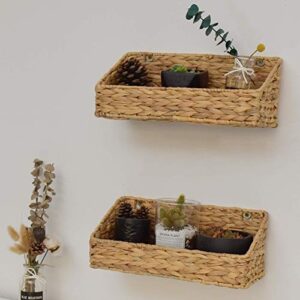 StorageWorks Woven Wall Baskets for Storage, Water Hyacinth Baskets for Shelf, Wall Storage for Kitchen and Bathroom, Hanging Baskets for Organizing, 2 Pack