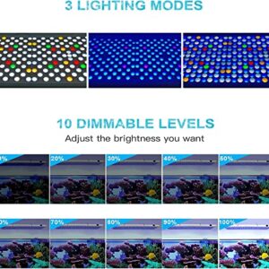 Relassy 300W Large Aquarium Light, Fish Tank Light with 676 LED and Remote Control, Adjustable Brightness Sunrise Sunset Mode and 24H Timer Function, Dimmable Reef Aquarium Lights for Fish Tank