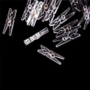 Clips 20 PCS Mini Spring Clear Transparent Clips Clothes Photo Paper Peg Pin Clothespin Craft Clips Party Home Decoration