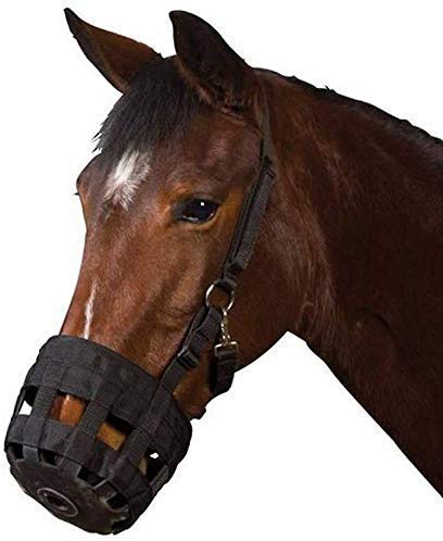 UDRENM Horse Grazing Muzzle with Halter for Horse Easy Breathe and Comfortable (M)