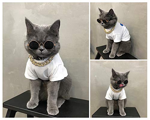 DS. DISTINCTIVE STYLE Retro Round Sunglasses with Golden Plastic Chain for Pet Cats and Small Dogs Cool and Funny Spectacles Pets Photo Props for Taking Pictures