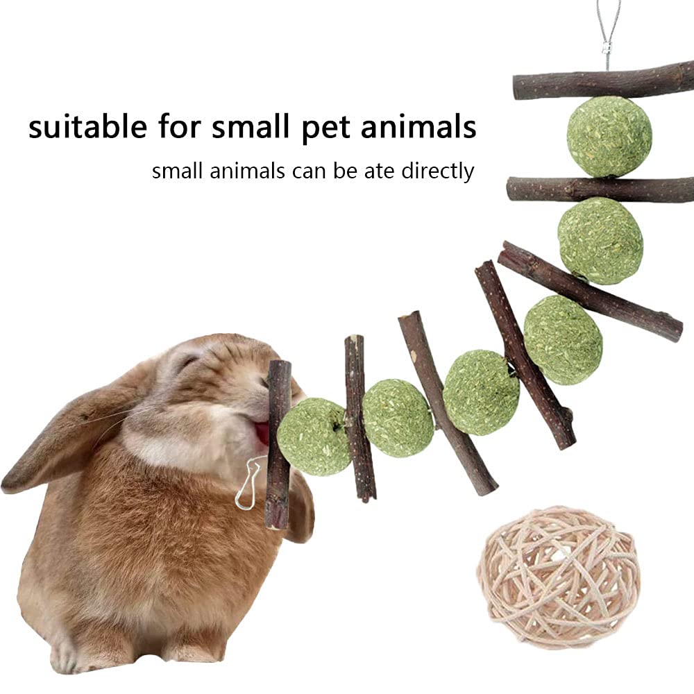 Rabbit Chew Toys,Rabbit Chinchilla Hamster Tooth Chew Toys,Natural Apple Wood Rabbit Supplies Set,Bunny Chew Toys for Teeth for Playing Exercise Teeth Care