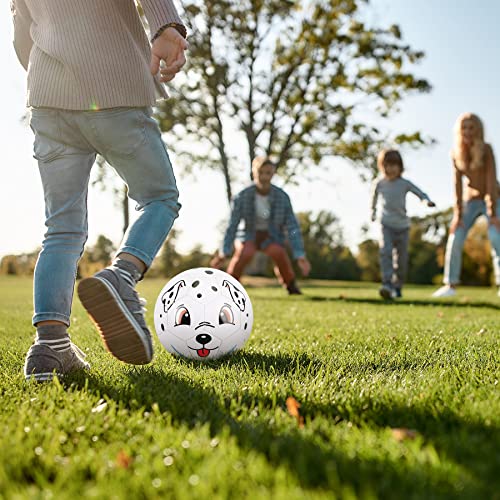 EVERICH TOY Soccer Ball Size 2 Soccer Balls for Kids-Sport Ball for Toddlers-Backyard Lawn Sand Outdoor Toys for Boys and Girls,Including Pump