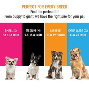 Active Pets Quick Release Dog Collar, Breathable Collar for Dogs, Boy Dog Collars, Girl Dog Collars, Dog Collars for Small Dogs, Large Dog Collar for Males & Females, Small Dog Collar for Puppies (S)